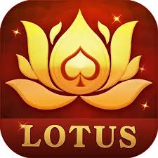 teen patti all bonus app download